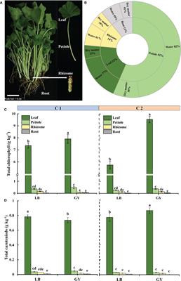 Variation in the main health-promoting compounds and antioxidant activity of different organs of Wasabi (Eutrema japonicum) from two producing areas